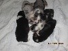  - 5 nouveaux bébés